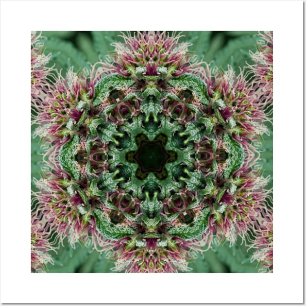 Herbal Mandala Wall Art by dmorissette